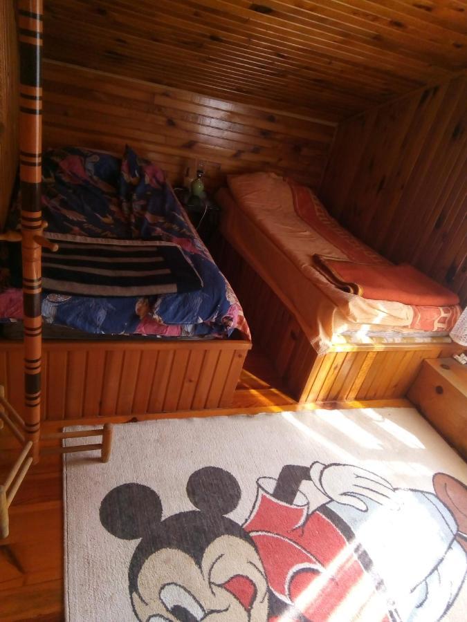 Takovo - Odmor U Selu Villa Горни Милановац Екстериор снимка