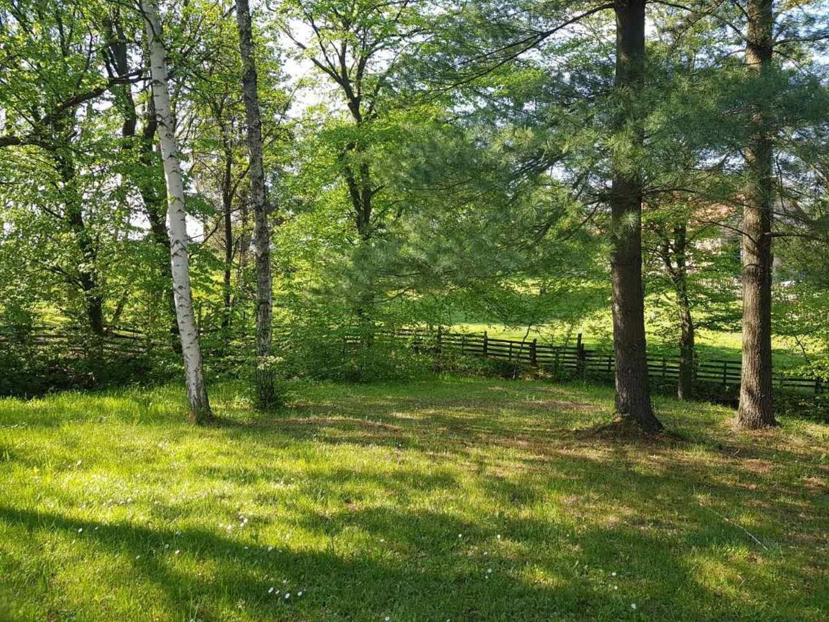 Takovo - Odmor U Selu Villa Горни Милановац Екстериор снимка
