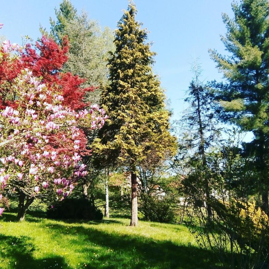 Takovo - Odmor U Selu Villa Горни Милановац Екстериор снимка