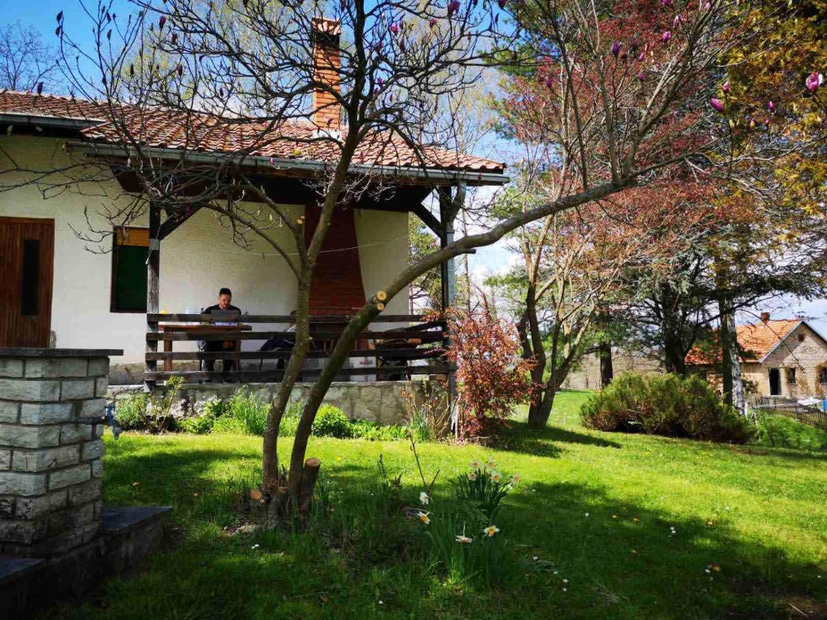 Takovo - Odmor U Selu Villa Горни Милановац Екстериор снимка