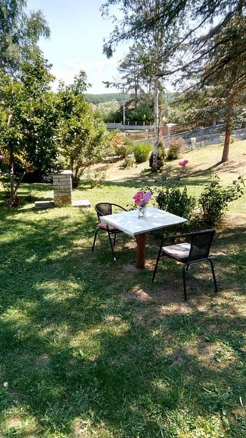 Takovo - Odmor U Selu Villa Горни Милановац Екстериор снимка