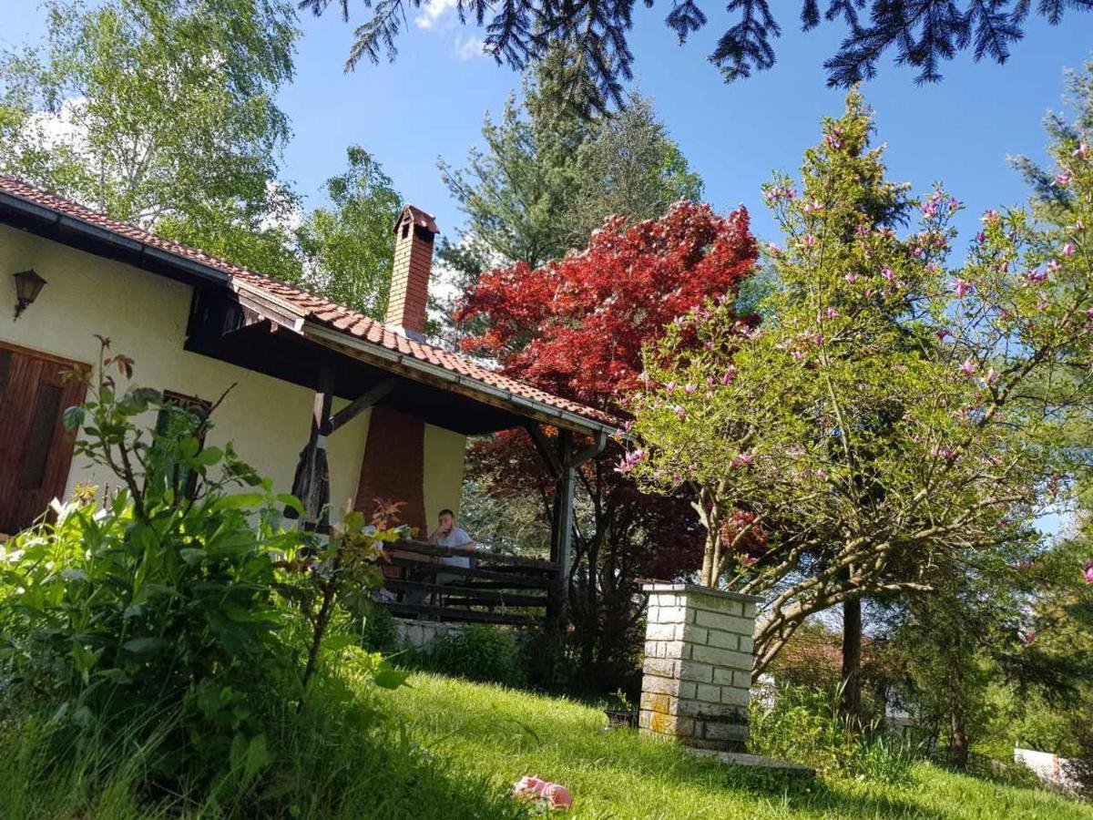 Takovo - Odmor U Selu Villa Горни Милановац Екстериор снимка